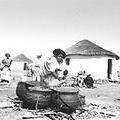 W3-Women-Cook.jpg