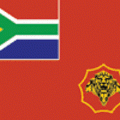 army_flag.gif