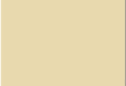 background-i.jpg