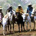 basotho-ponies.jpg