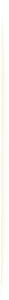 bg_line.gif