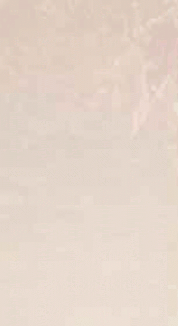 bgrx.gif
