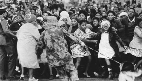 Black demonstrators cower from a police dog at Gugulethu township near Cape Town on 12 August 1976