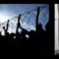 bonani_collage.jpg