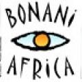 bonani_online_exhibition.jpg