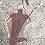 bushman.jpg