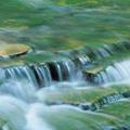 bushmans river