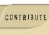 camp_contribute.jpg