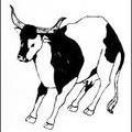 card-cow.jpg
