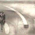 chicken.jpg