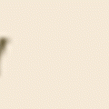chronology-on.gif