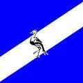 ciskei flag