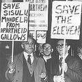 dadoo-slovo.jpg