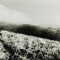 fence-landscape.jpg