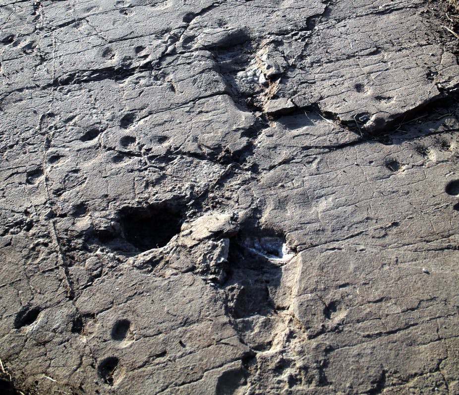 Footprints in Laetoli