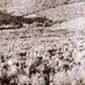 grassvalley2.jpg