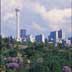 hillbrow_poster_thumb.jpg