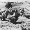 indentured-women-working-in.jpg