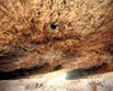 makapan_s_caves.jpg