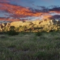 mapungubwe-pic.jpg