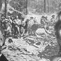 matabele_war_ad2.jpg