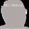 no_image.gif