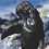 oilpenguin_thumb.gif