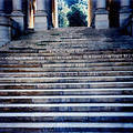 pic4.jpg