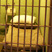 prison_cell-52px.jpg