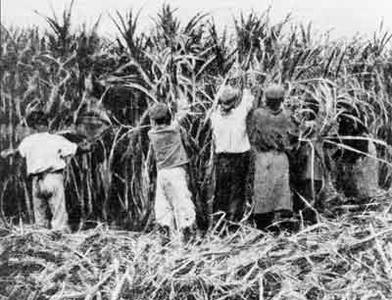 seasonal-labour.jpg