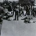 Sharpville Massacre