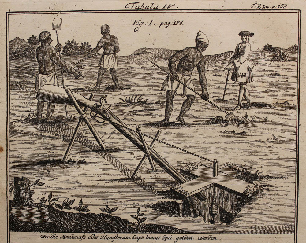Enslaved people formed the foundation of labour at the Cape