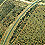 trans-kalari-thumb.jpg