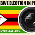 zim-photos.jpg