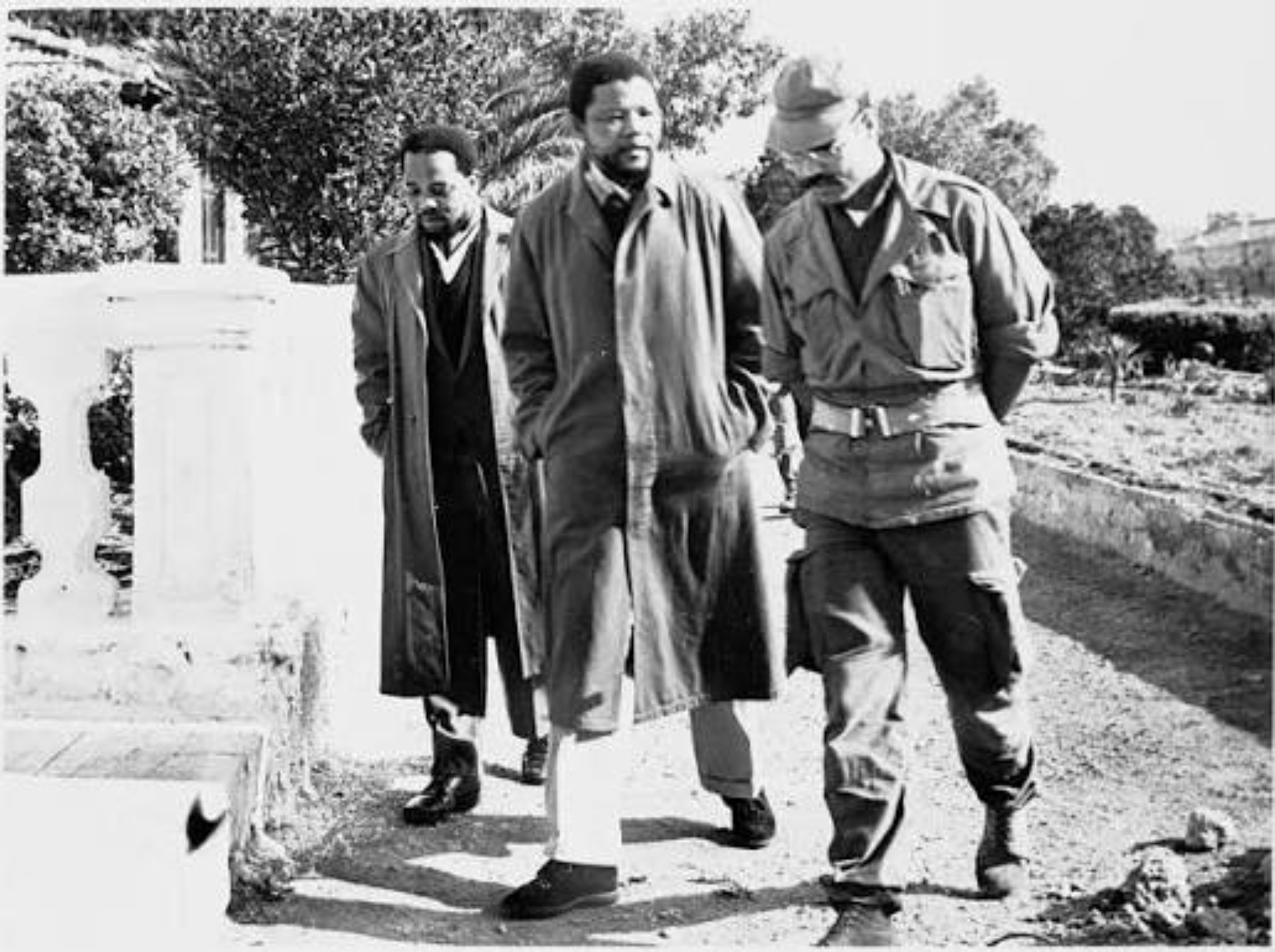 Nelson Mandela in Alger, la Mecque des rÃ©volutionnaires 1962-1974 , source african.pictures