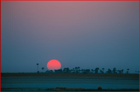 Kalahari Desert