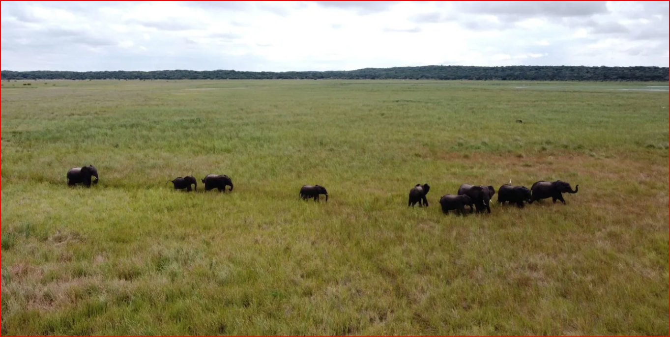 Maputo National Park