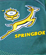 The Springbok rugby team receives the State President Sports Award