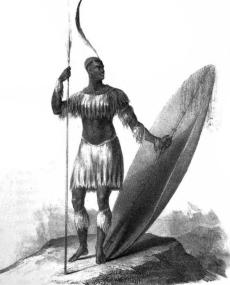 Shaka Zulu | South African History Online