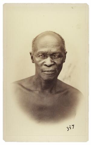 Chief Maqoma portrait