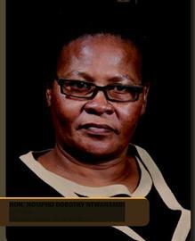  Nosipho  Dorothy  Ntwanambi portrait