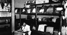 Land, Labour and Apartheid 