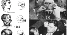 Pseudo-scientific racism and Social Darwinism