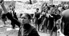 Youth and the National Liberation Struggle