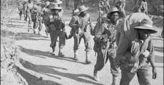 Imperialism and socialism in the context of Africa