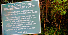 Thathe Vondo Holy Forest