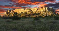 Mapungubwe
