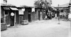 Life in Sophiatown