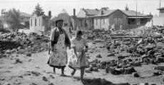 The Destruction of Sophiatown