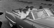 Gangsterism in Sophiatown